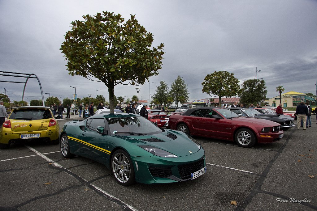 Lotus-00.jpg