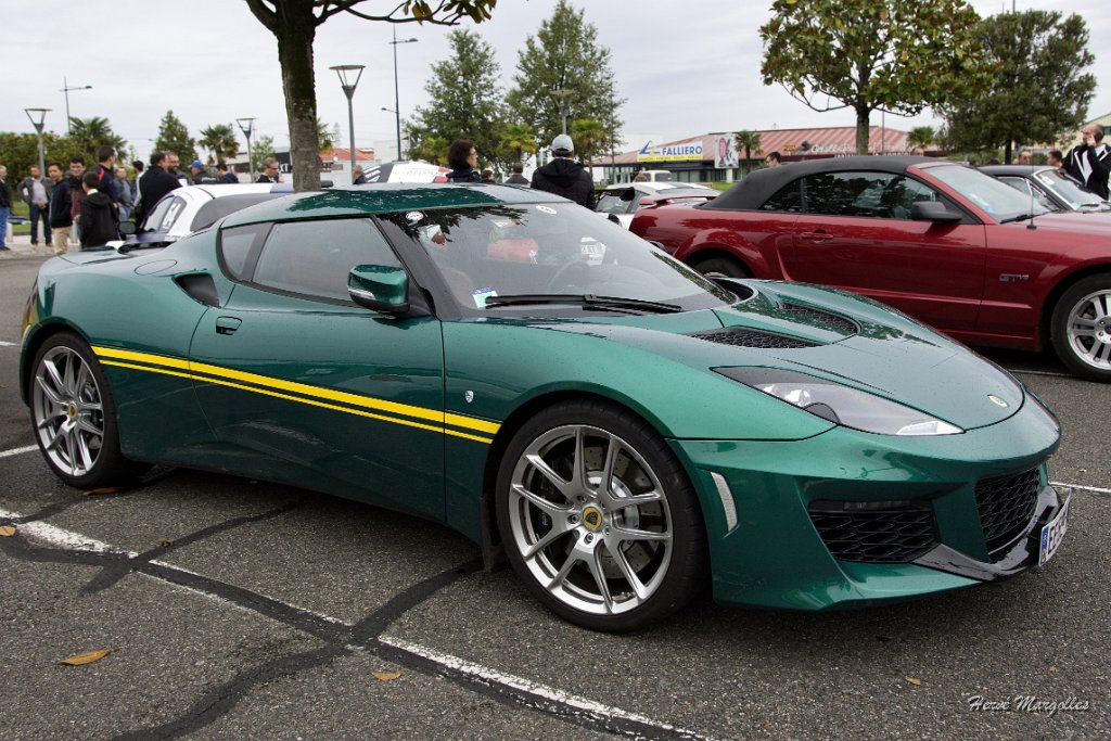 Lotus-01.jpg