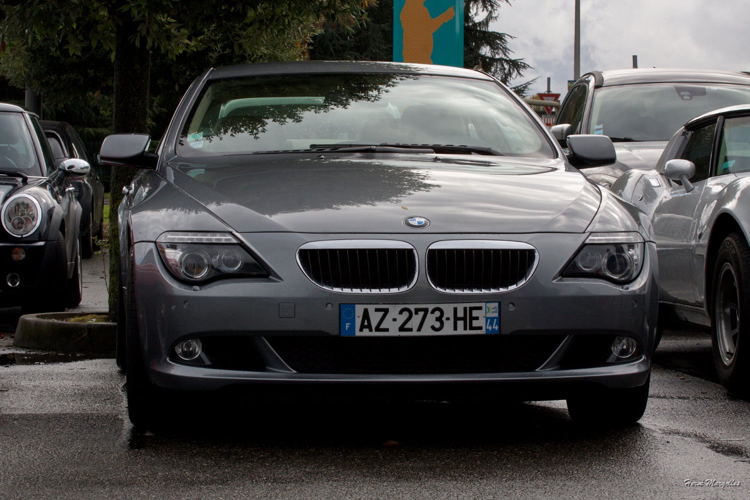 BMW-02.jpg