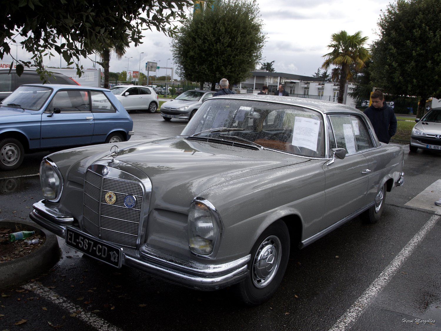 Mercedes-01.jpg