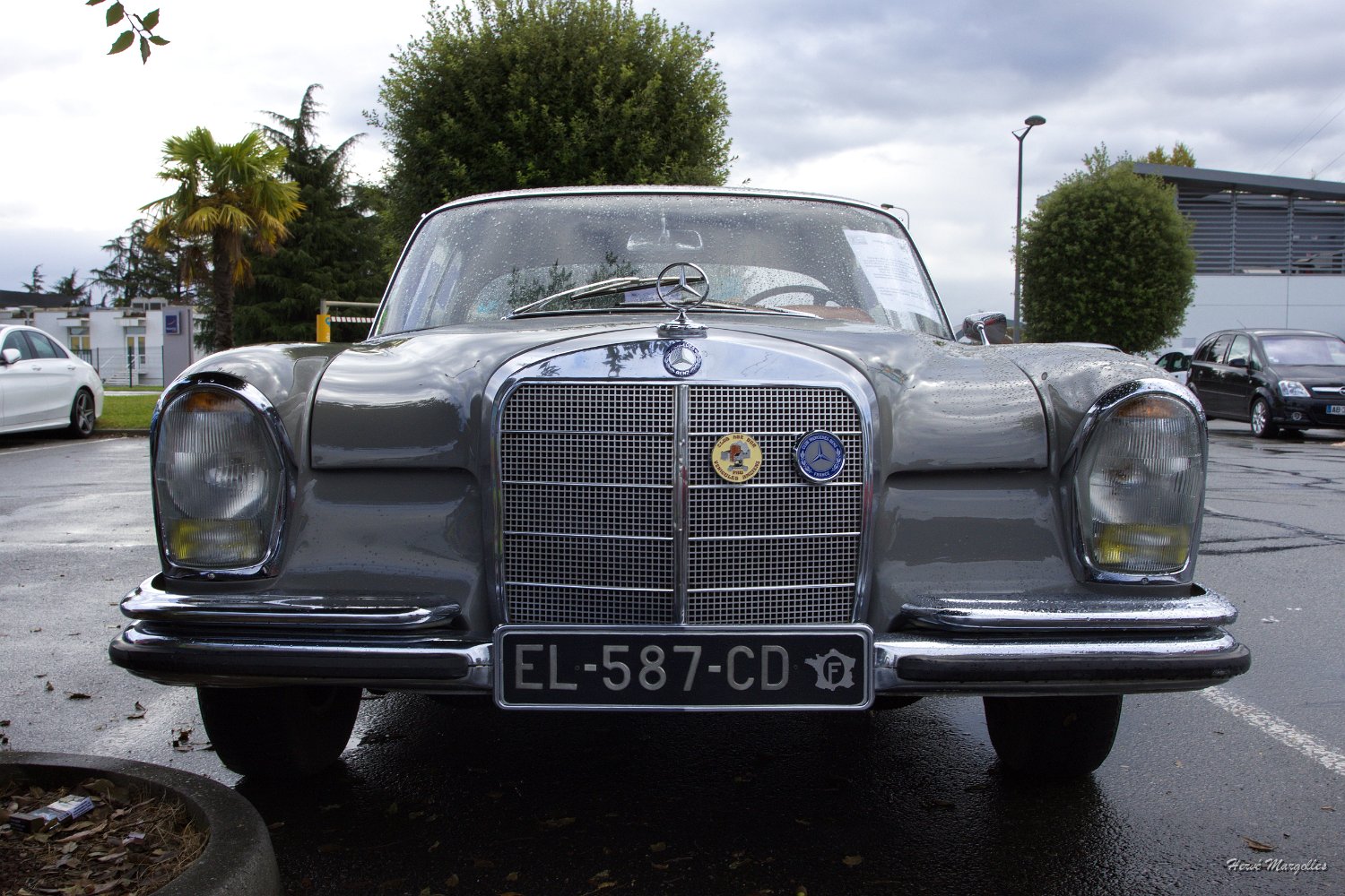 Mercedes-02.jpg