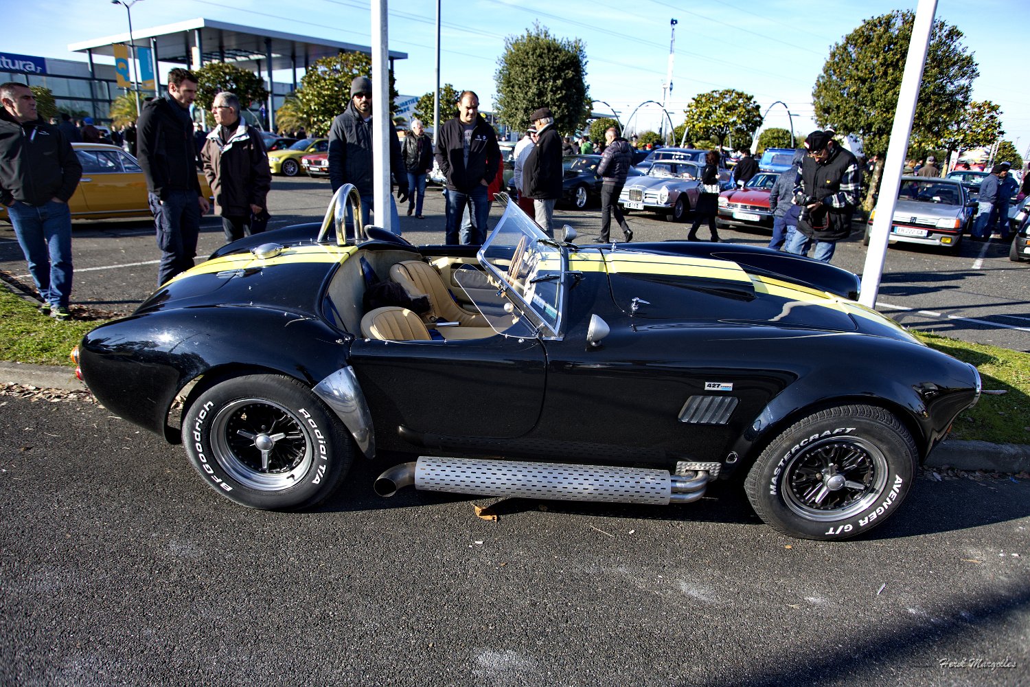 AC-Cobra-03.jpg