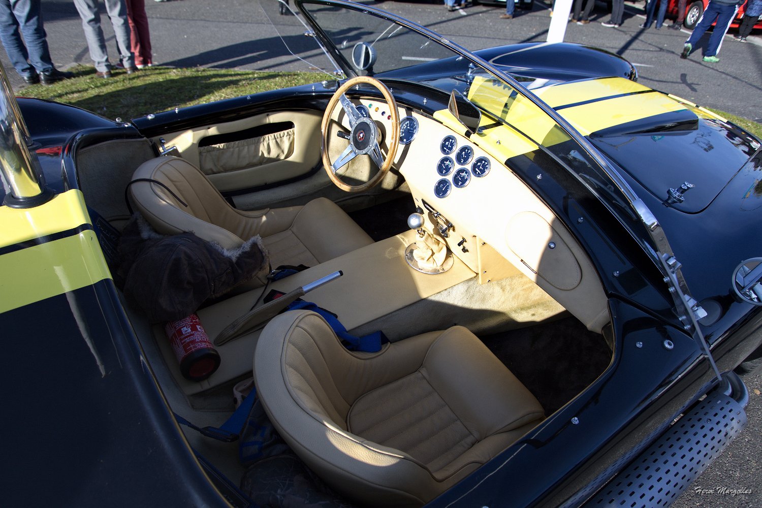 AC-Cobra-04.jpg