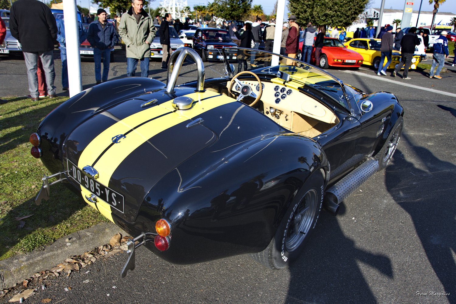AC-Cobra-05.jpg