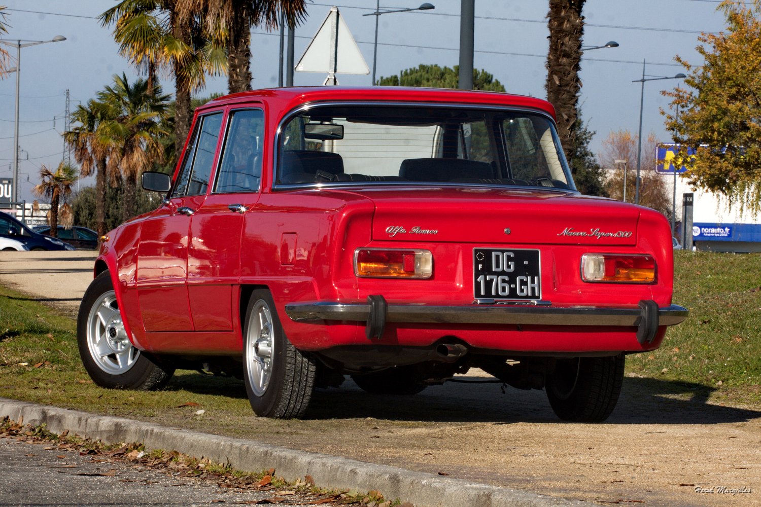 Alfa-01.jpg