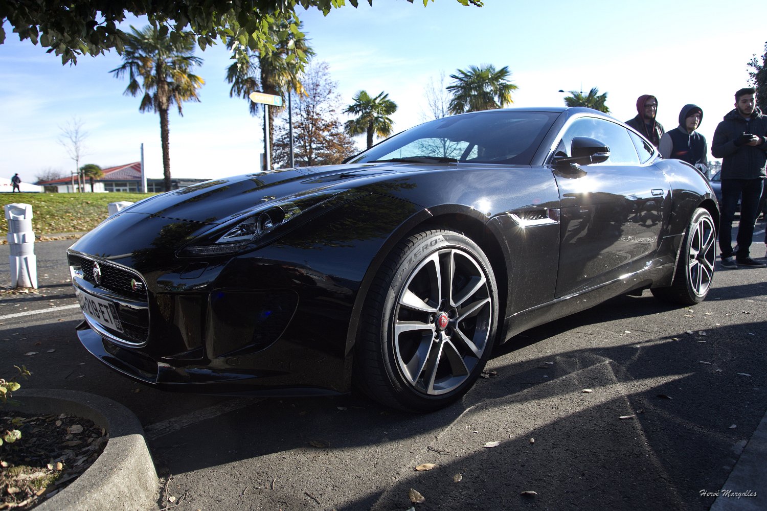 Jaguar-FType-02.jpg