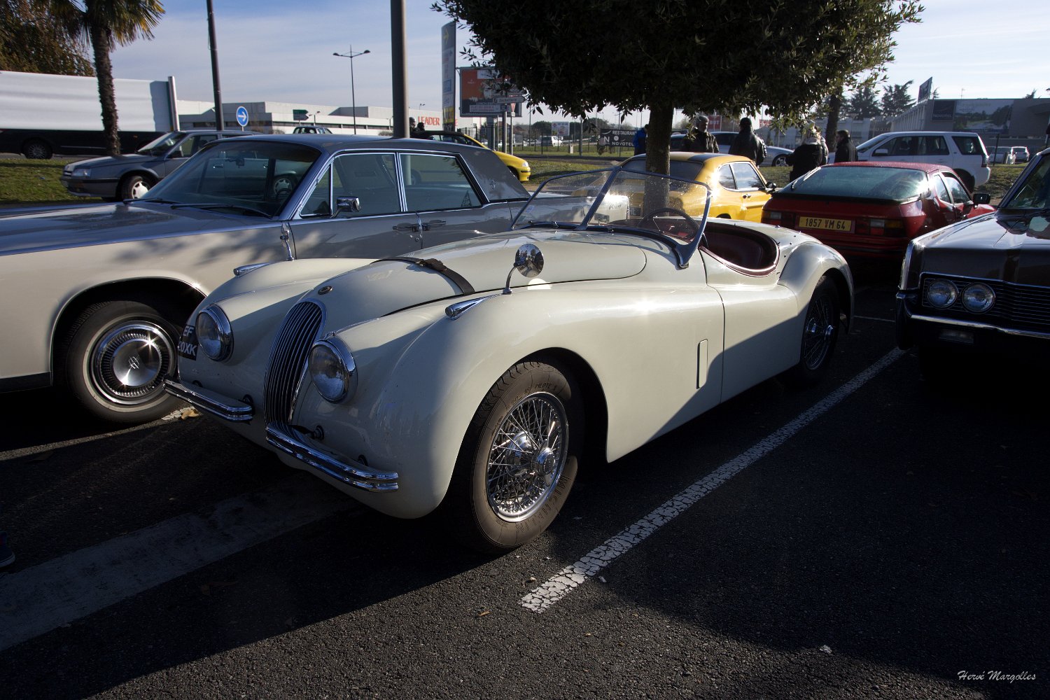 Jaguar-XK140-01.jpg