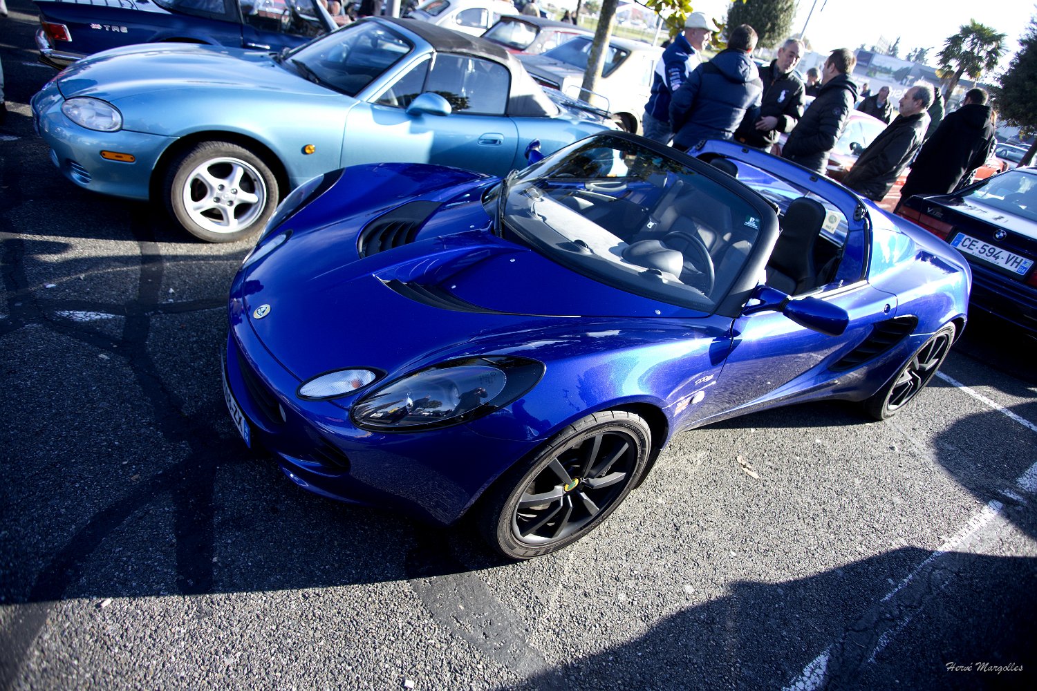 Lotus-01.jpg