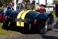 AC-Cobra-02