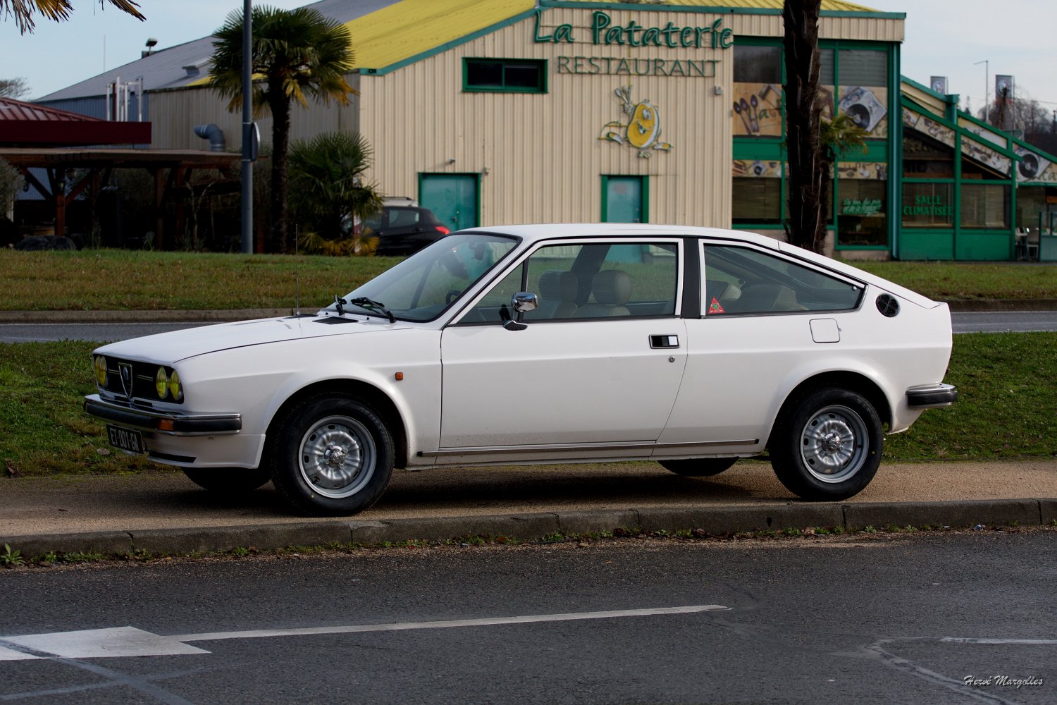 Alfa-Romeo-.jpg