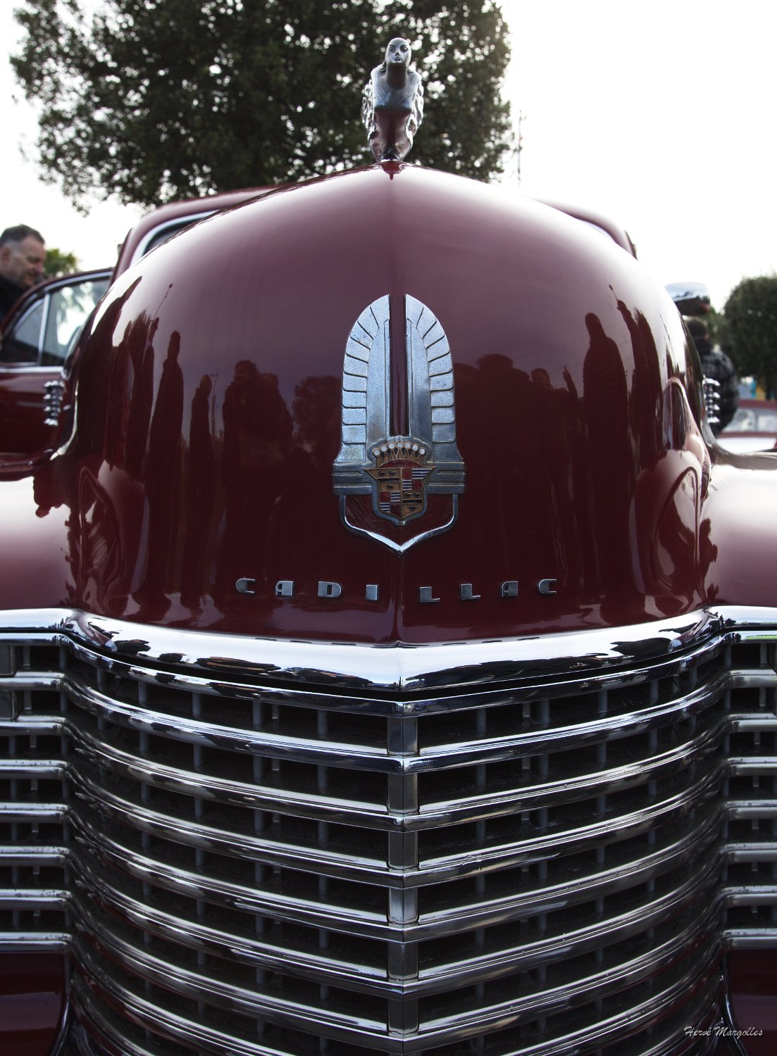 Cadillac-02.jpg