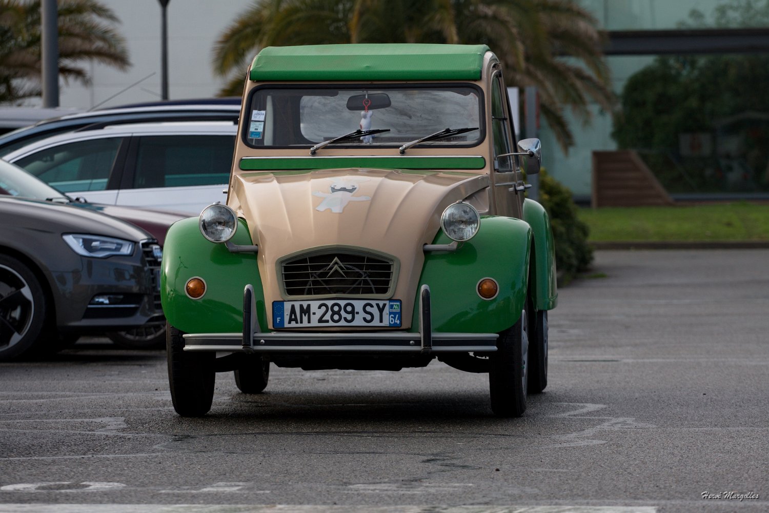 Citroen-2CV.jpg