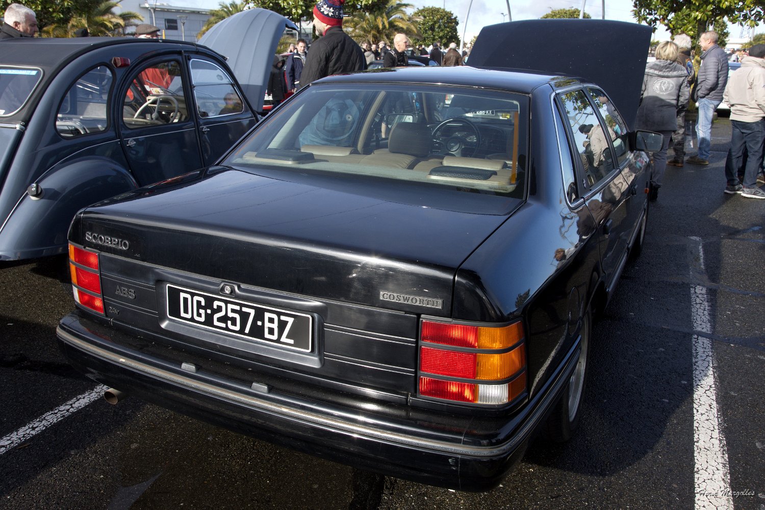 Ford-Coxworth-02.jpg