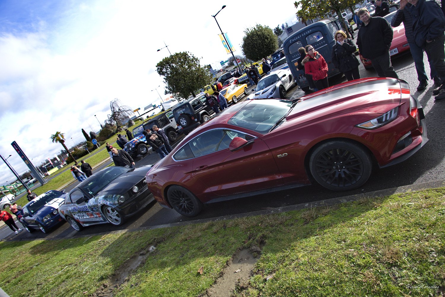 Ford-Mustang-02.jpg