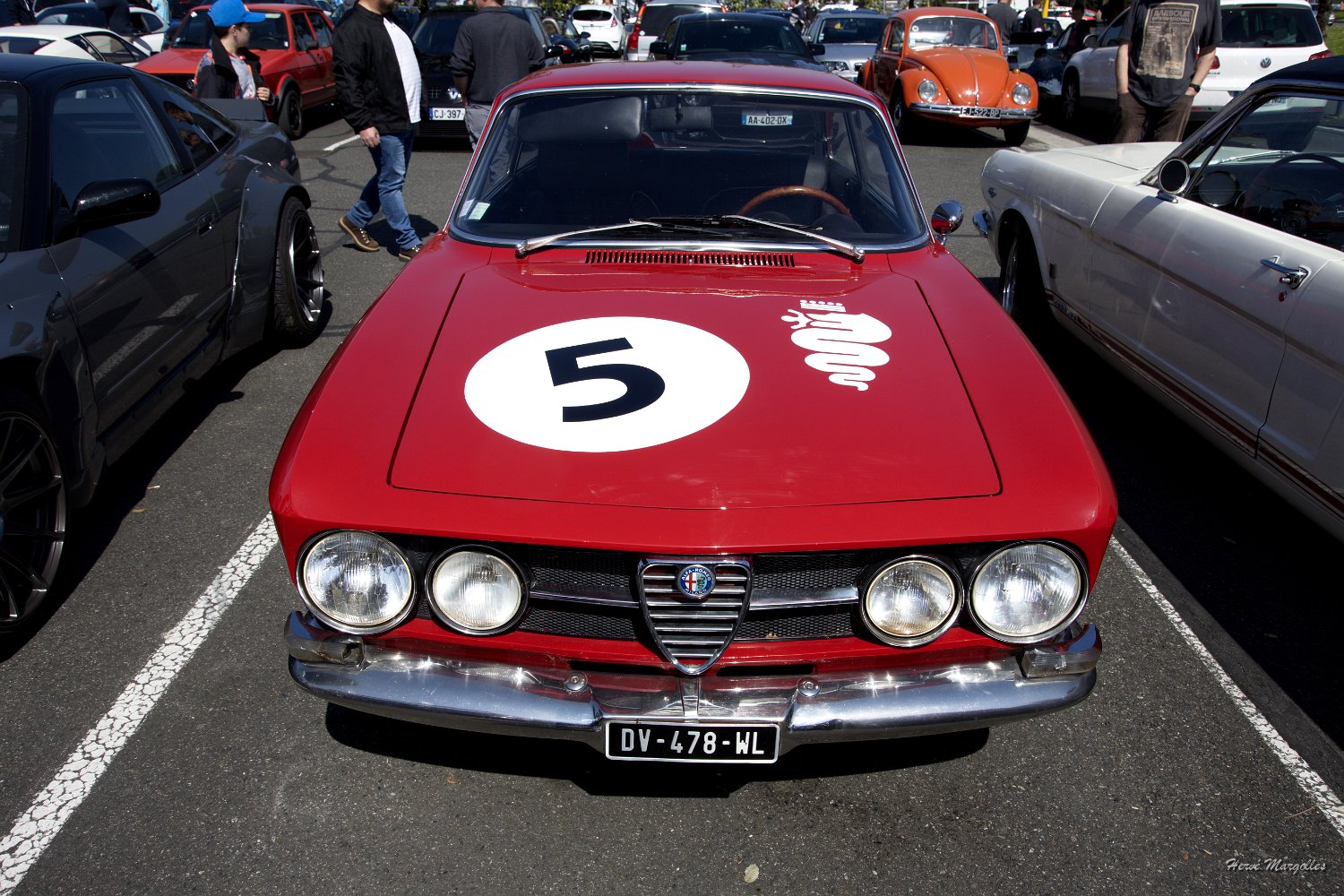 Alfa-01.jpg
