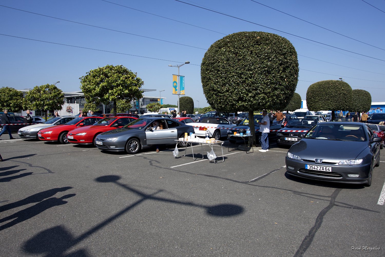 Peugeot-406-01.jpg
