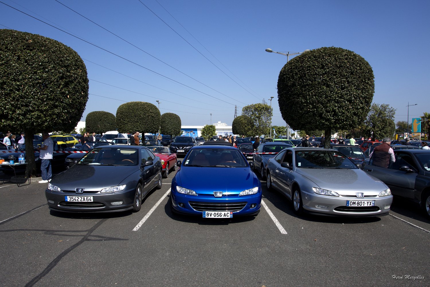 Peugeot-406-02.jpg