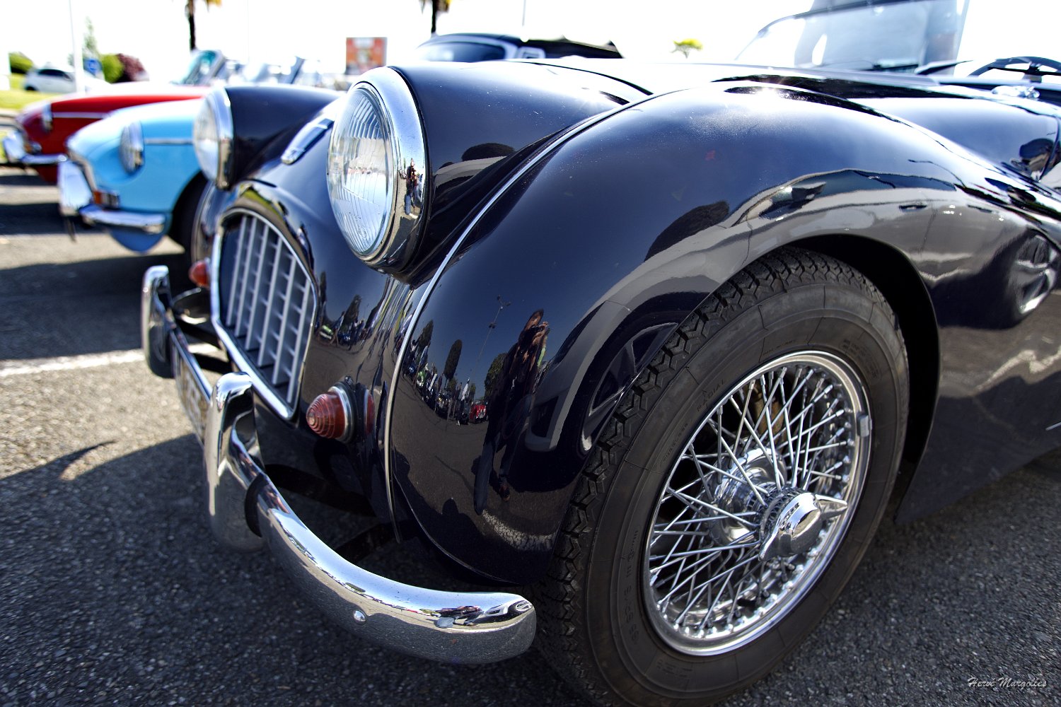 Triumph-01.jpg