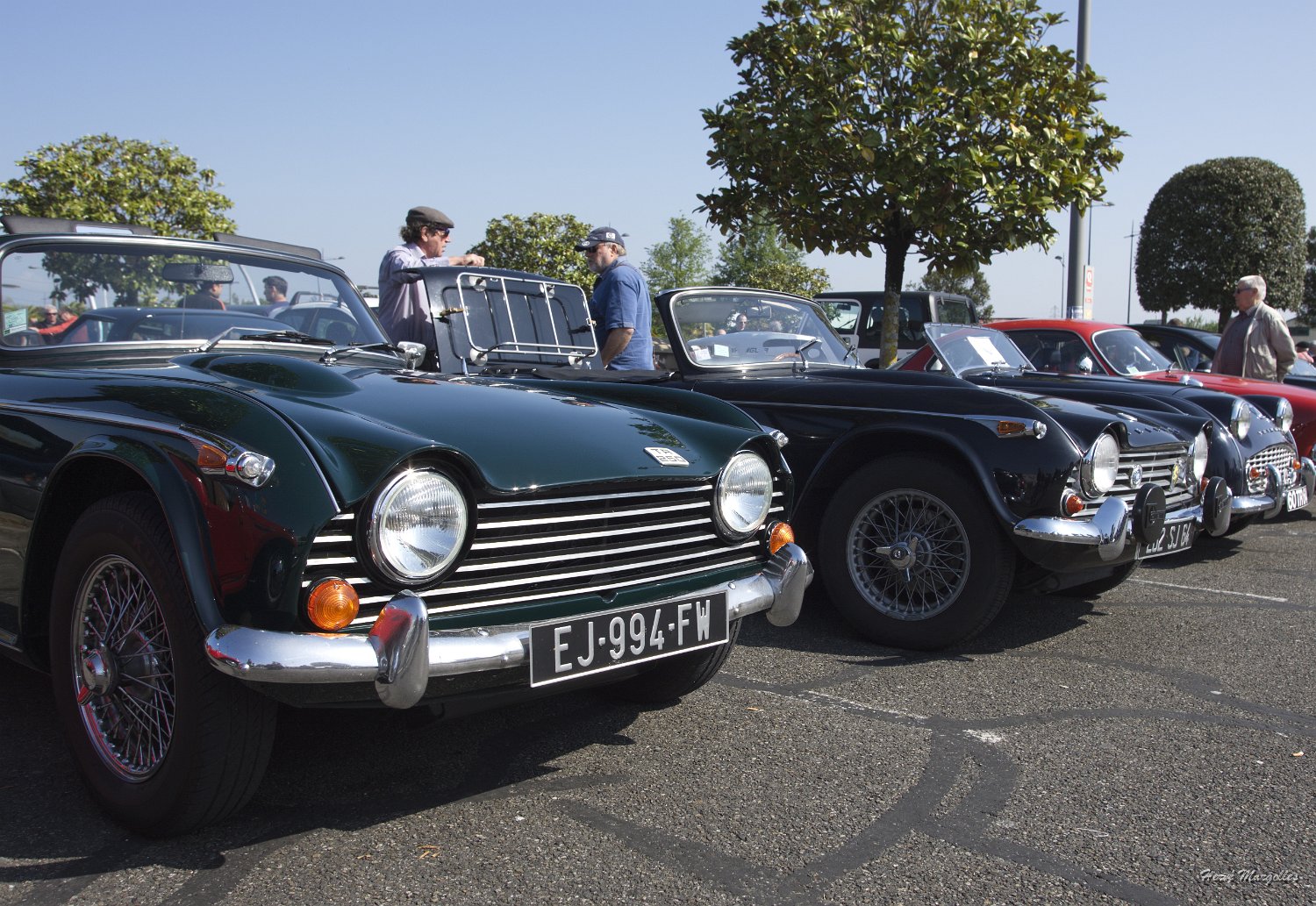Triumph-02.jpg