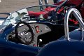 AC-Cobra-01
