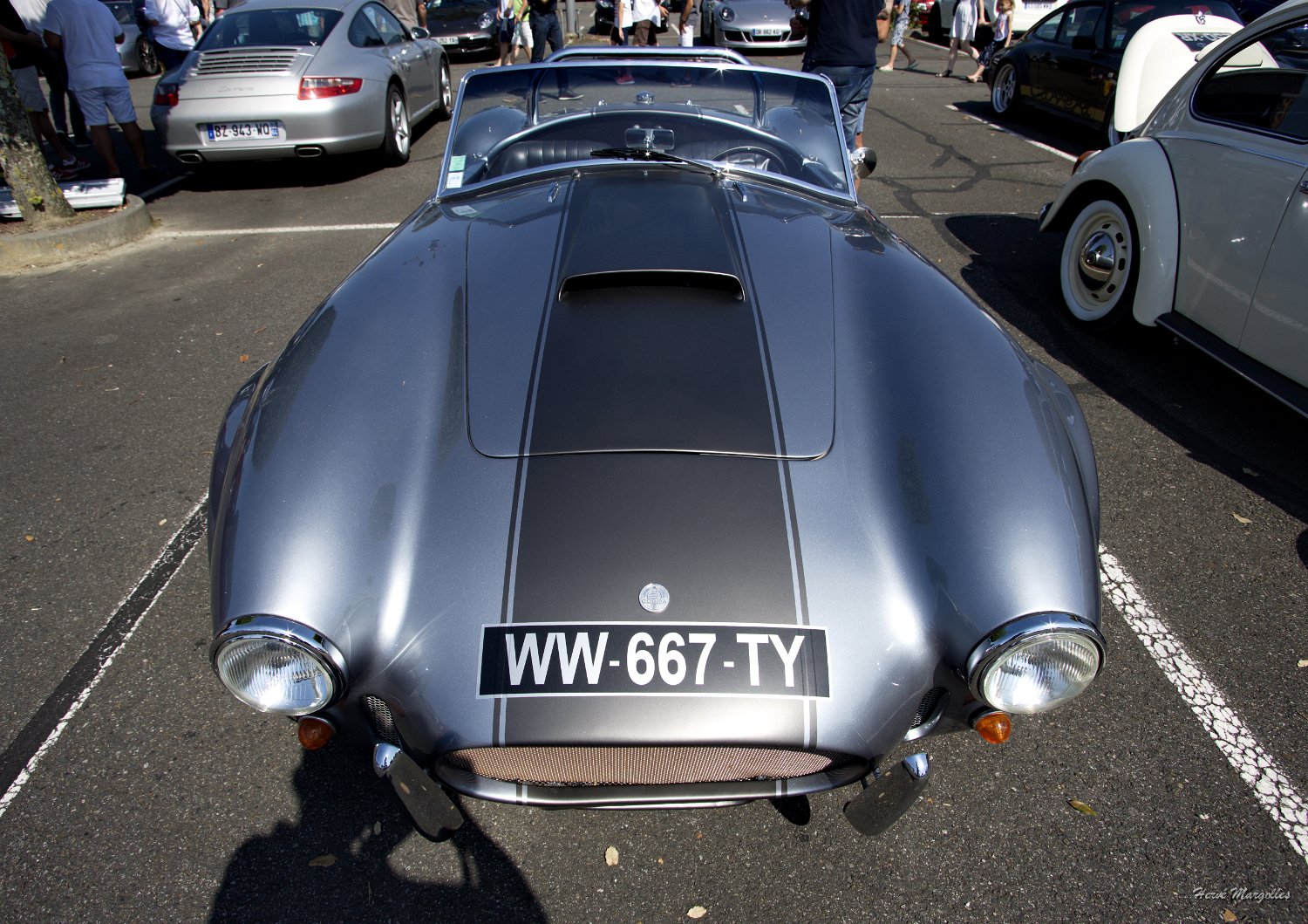 AC_Cobra-01.jpg