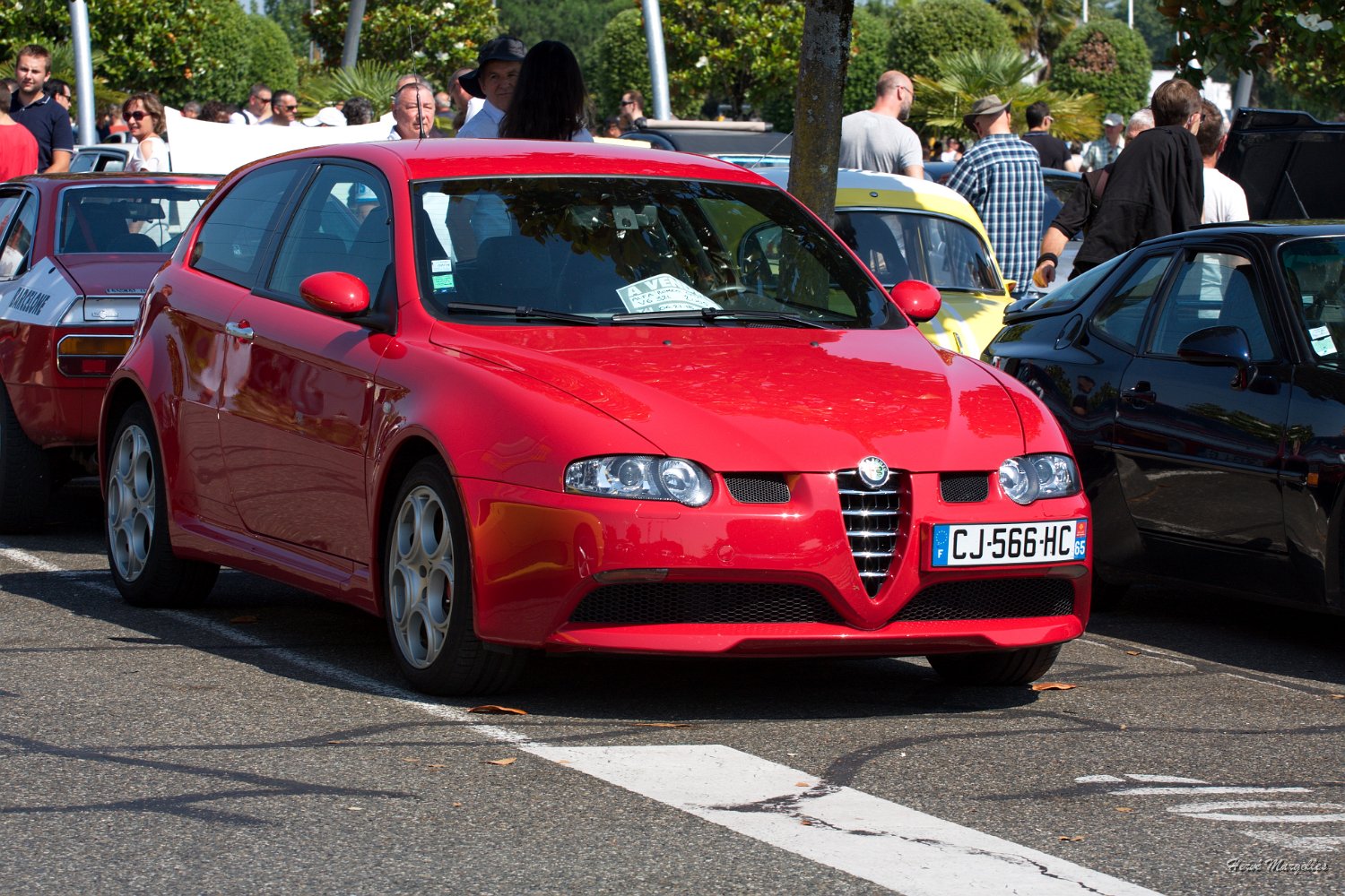 Alfa.jpg