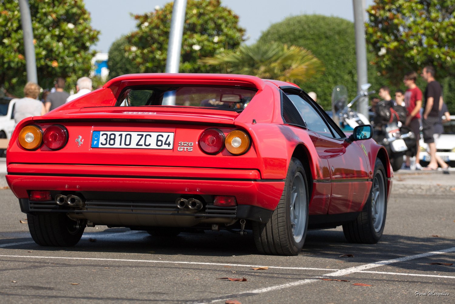 Ferrari-02.jpg