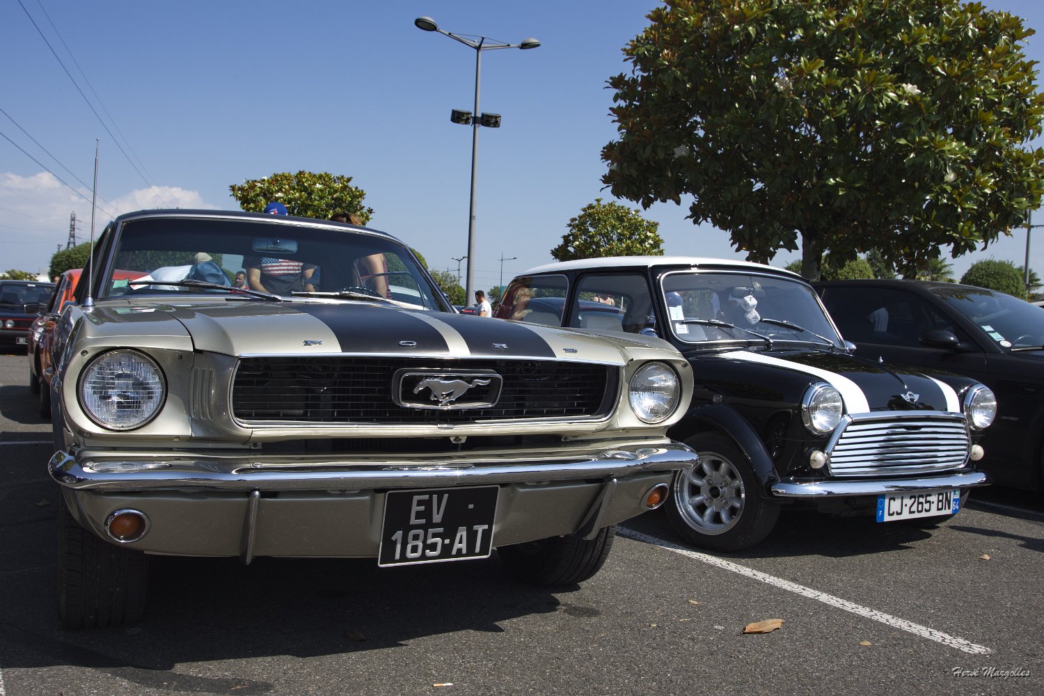 Ford_Mustang-02.jpg