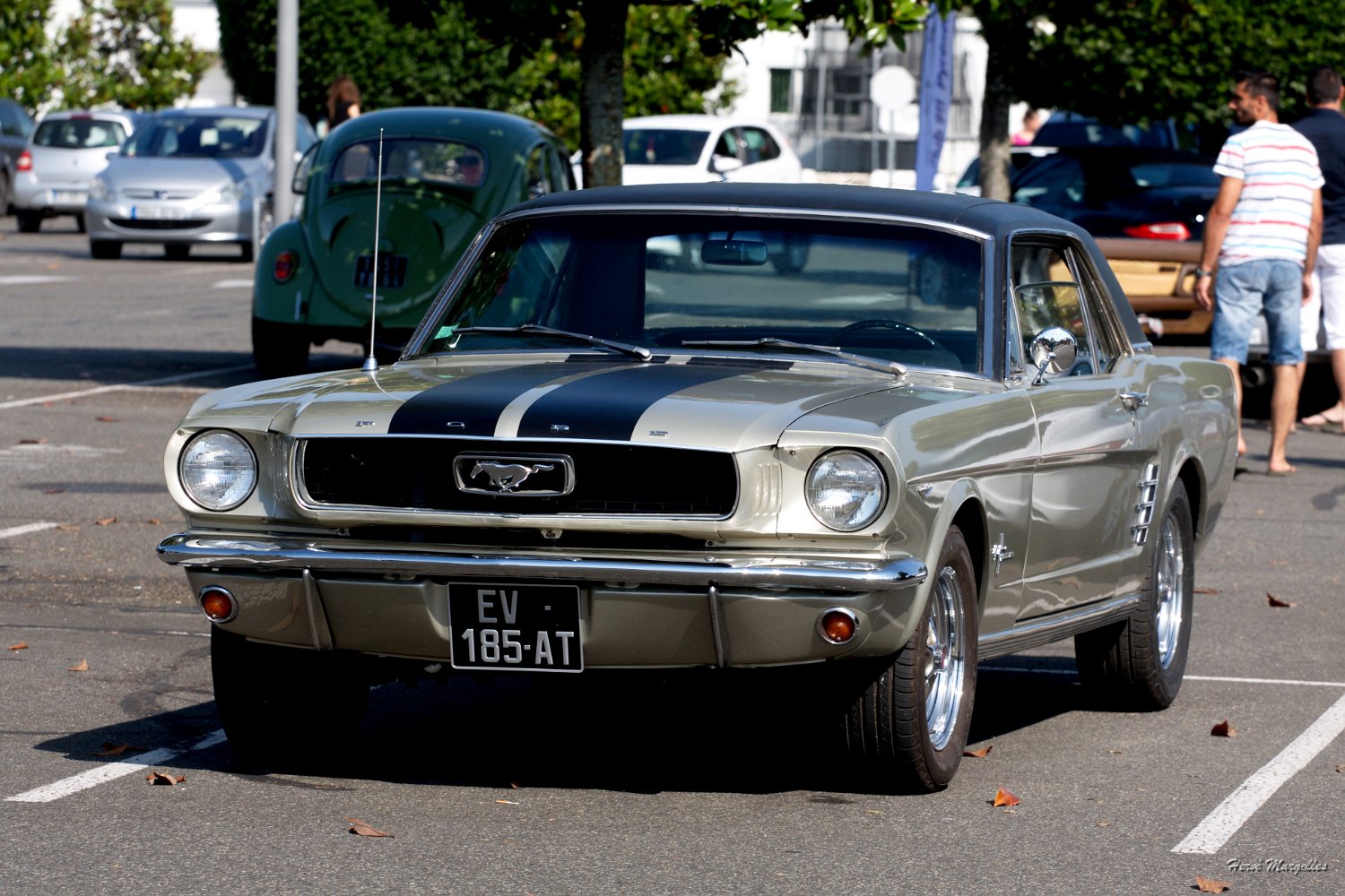 Ford_Mustang-03.jpg