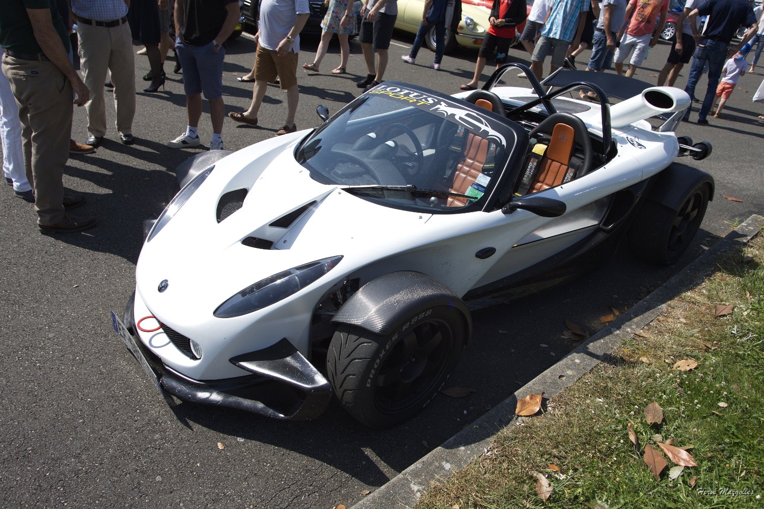 Lotus-01.jpg