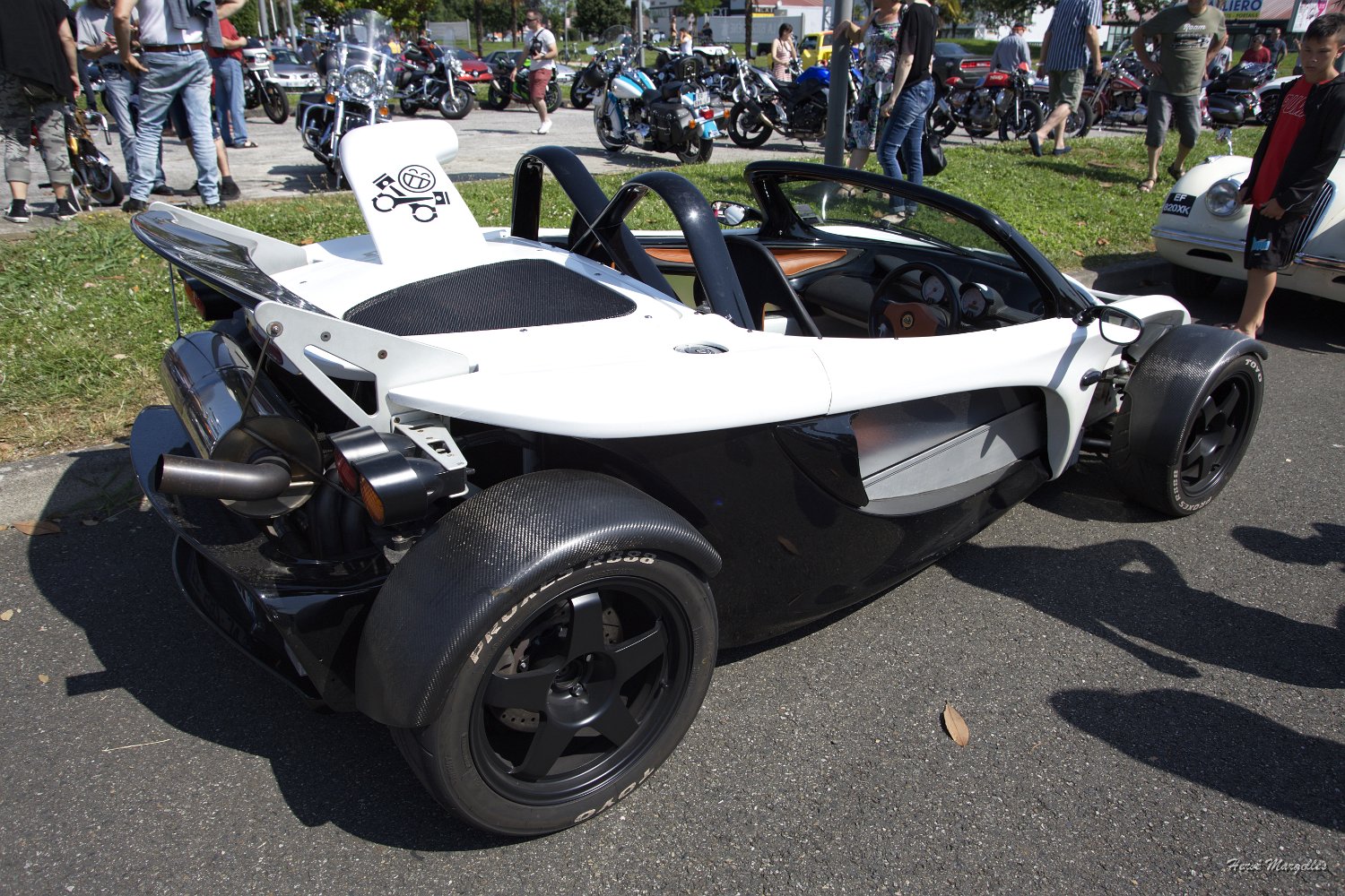Lotus-02.jpg