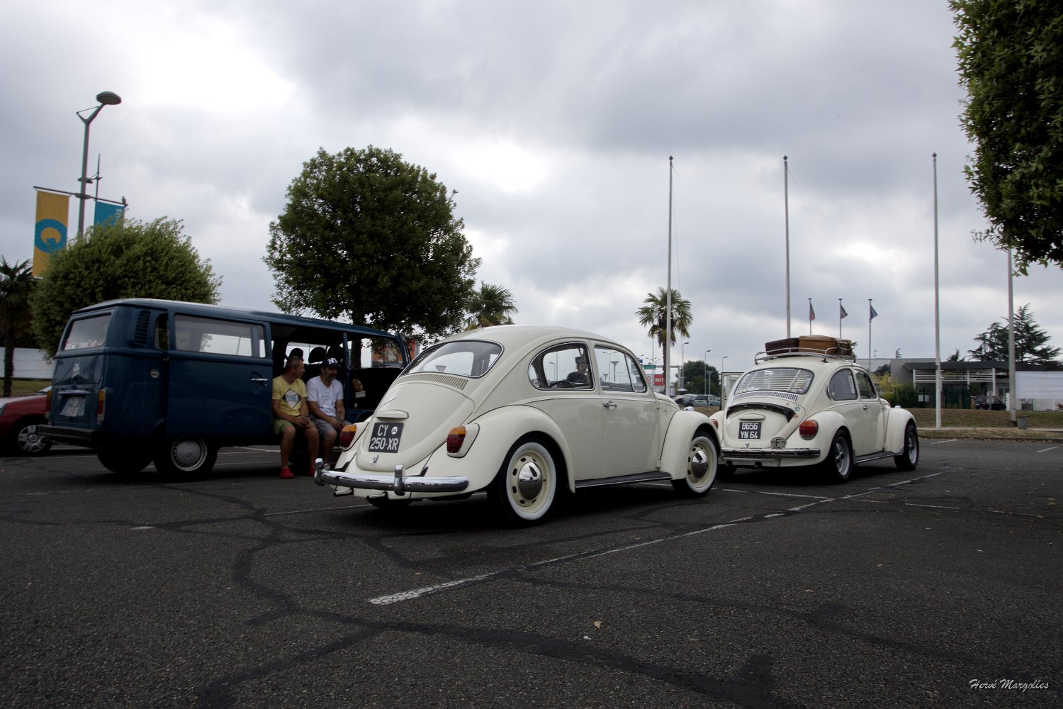 VW-01.jpg