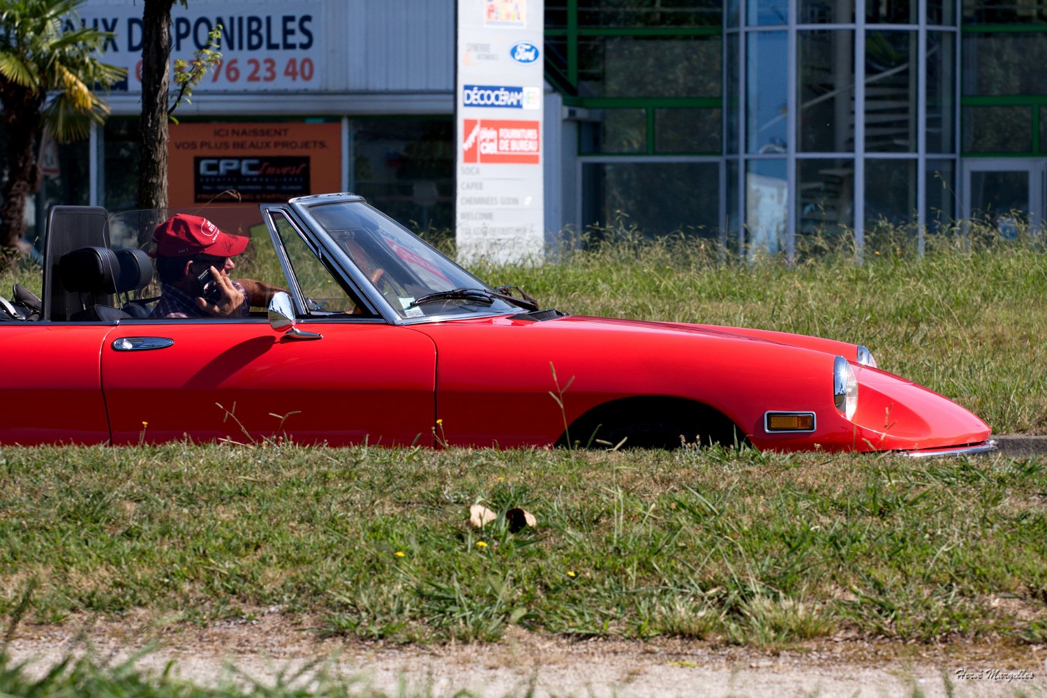Alfa-Romeo-03.jpg