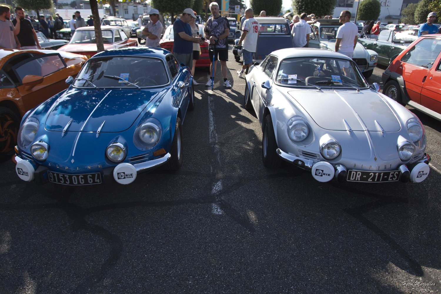 Alpine-01.jpg