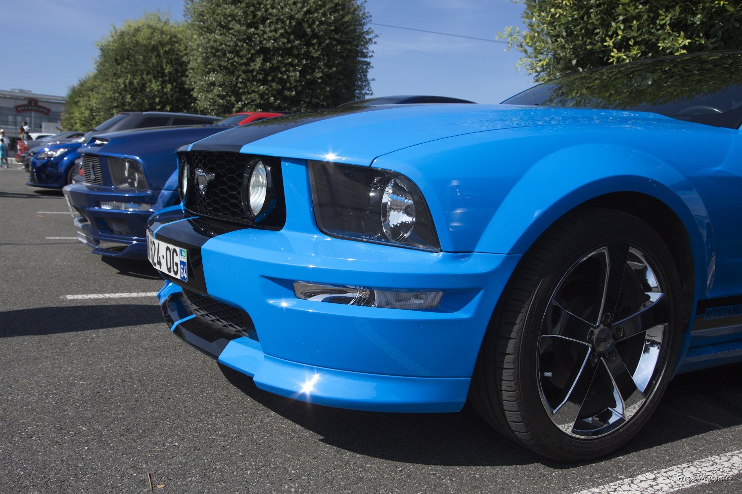 Ford-Mustang-02.jpg