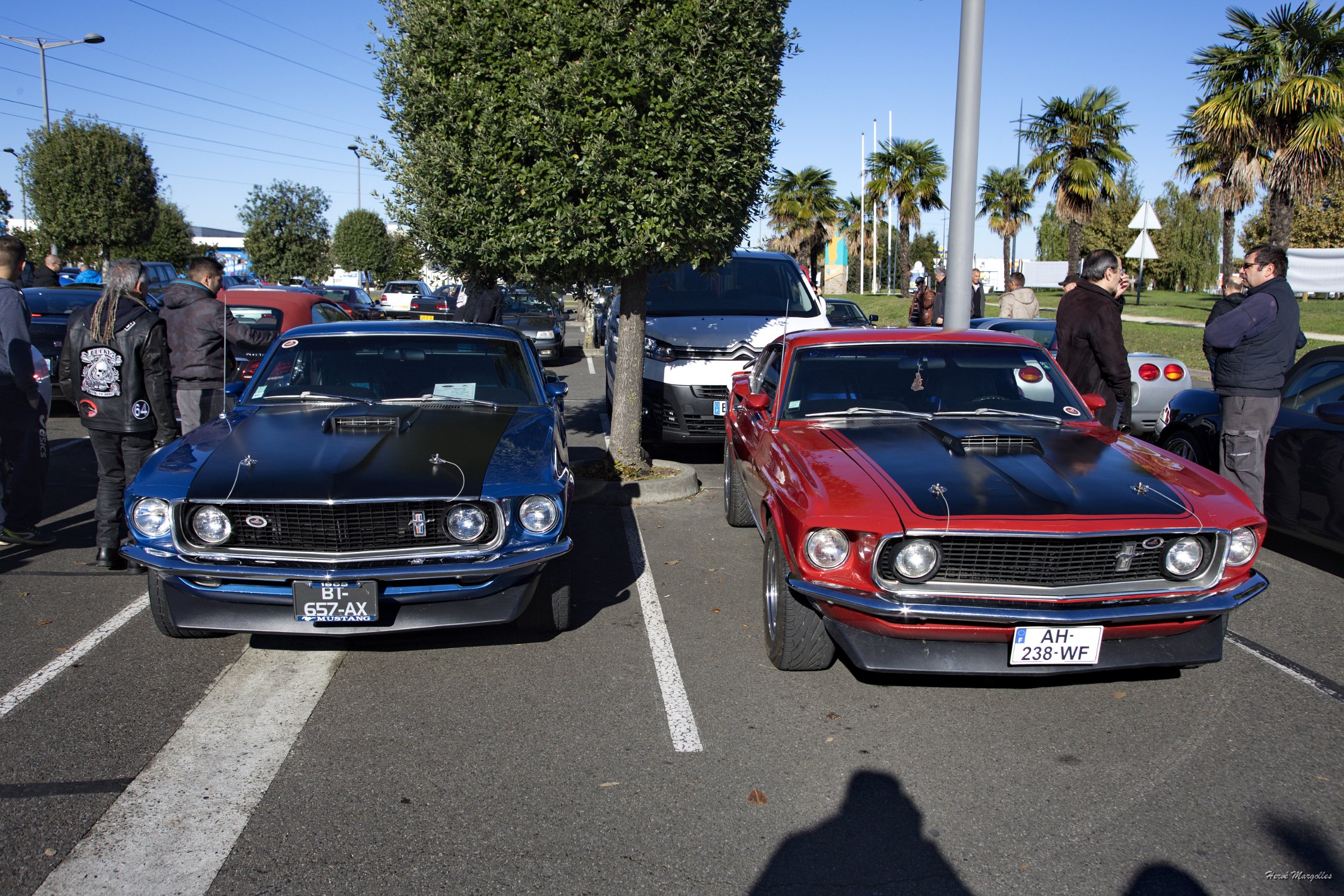 Ford-Mustang-01.jpg