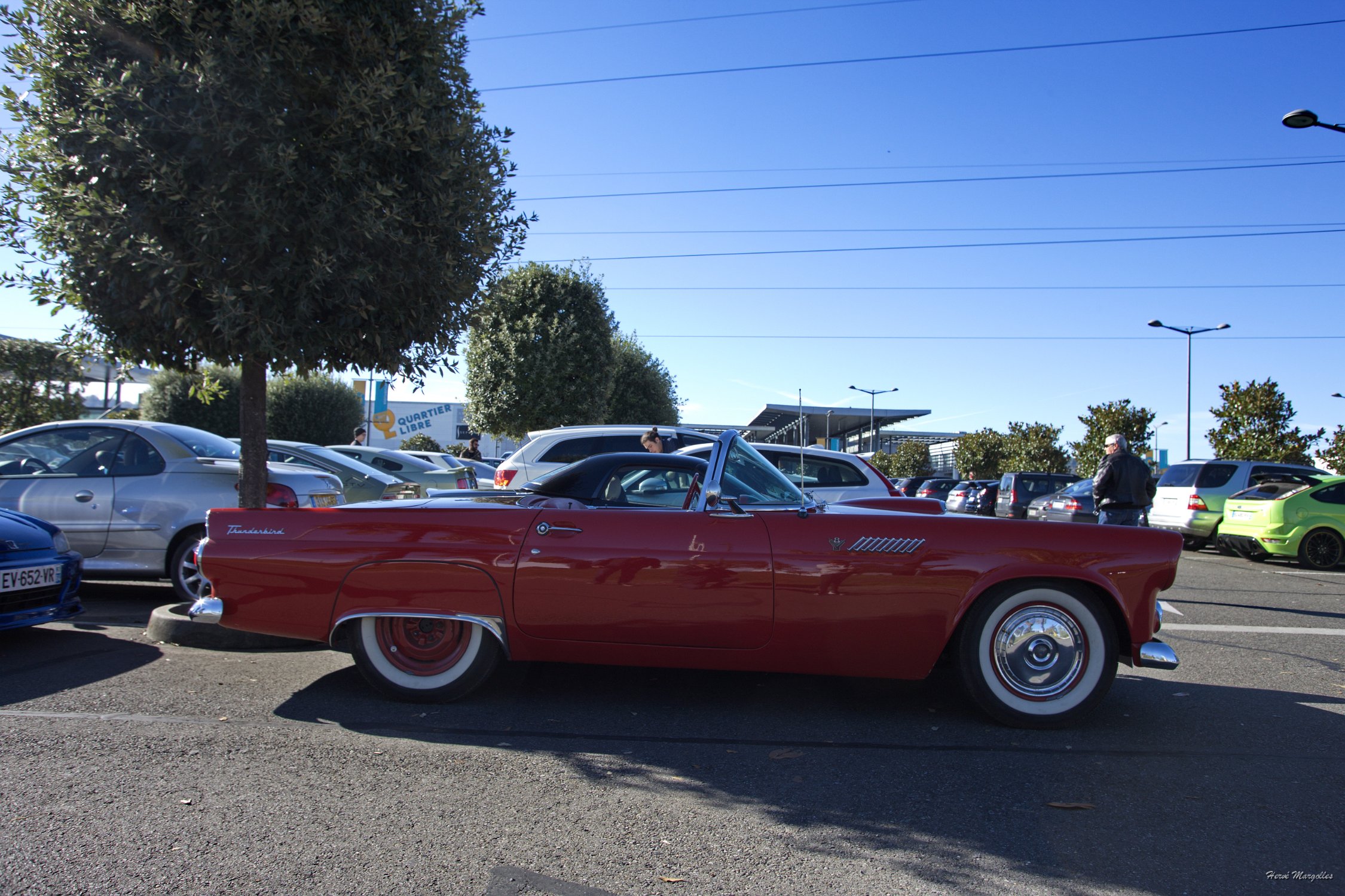 Ford-Thunderbird-01.jpg