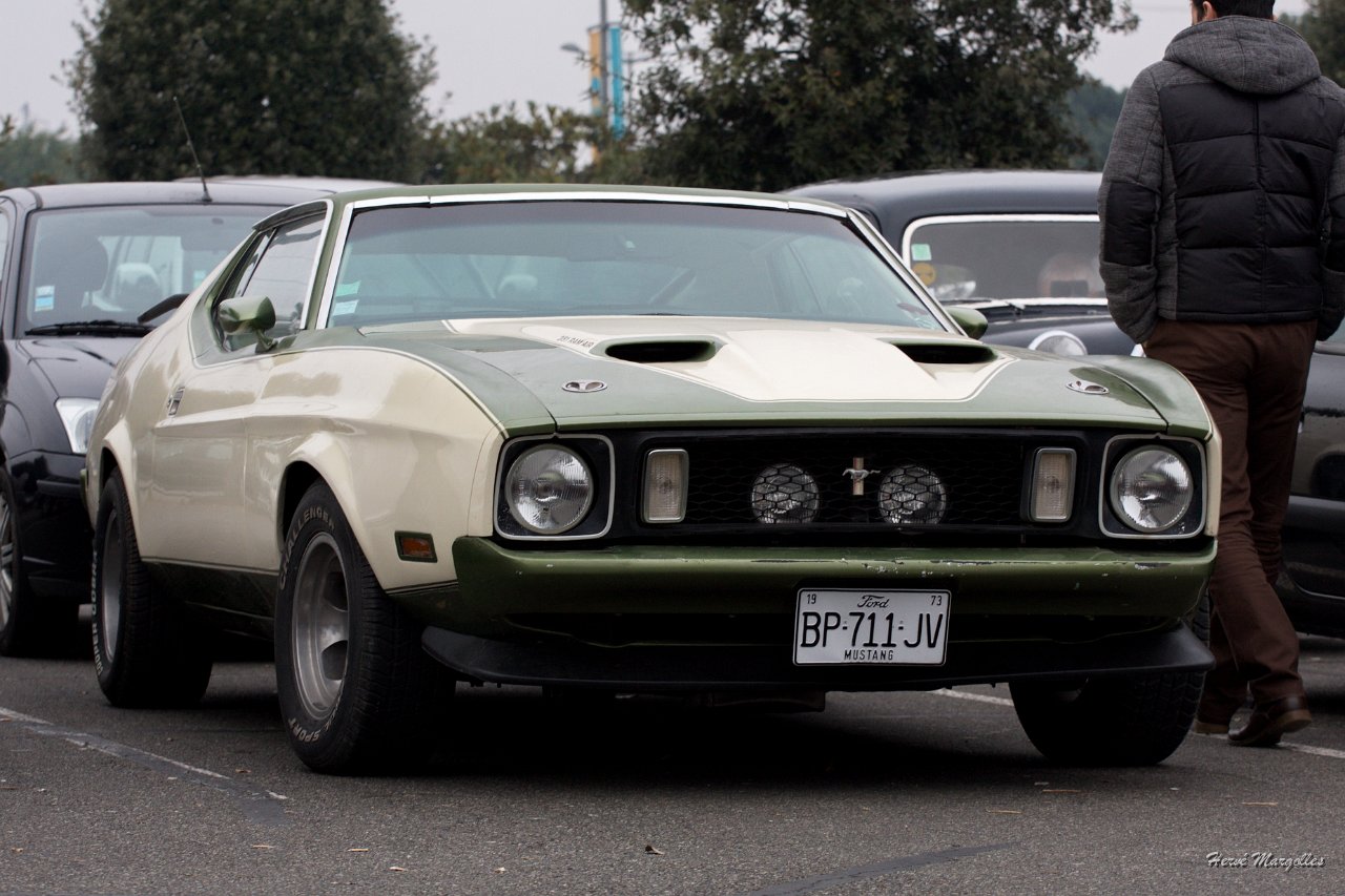 Ford-Mustang-01.jpg