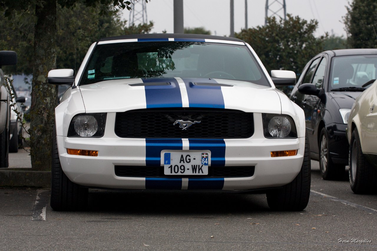 Ford-Mustang-02.jpg