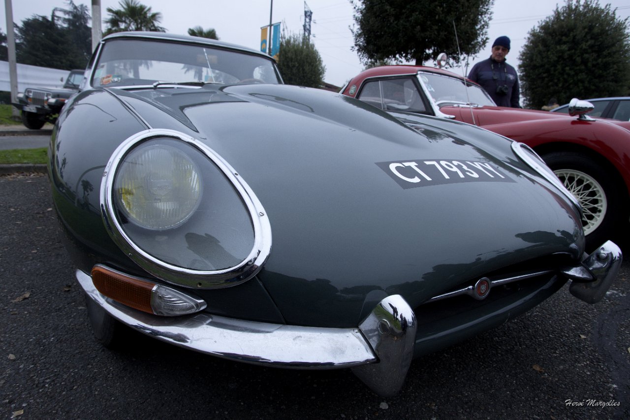 Jaguar-E_Type-02.jpg