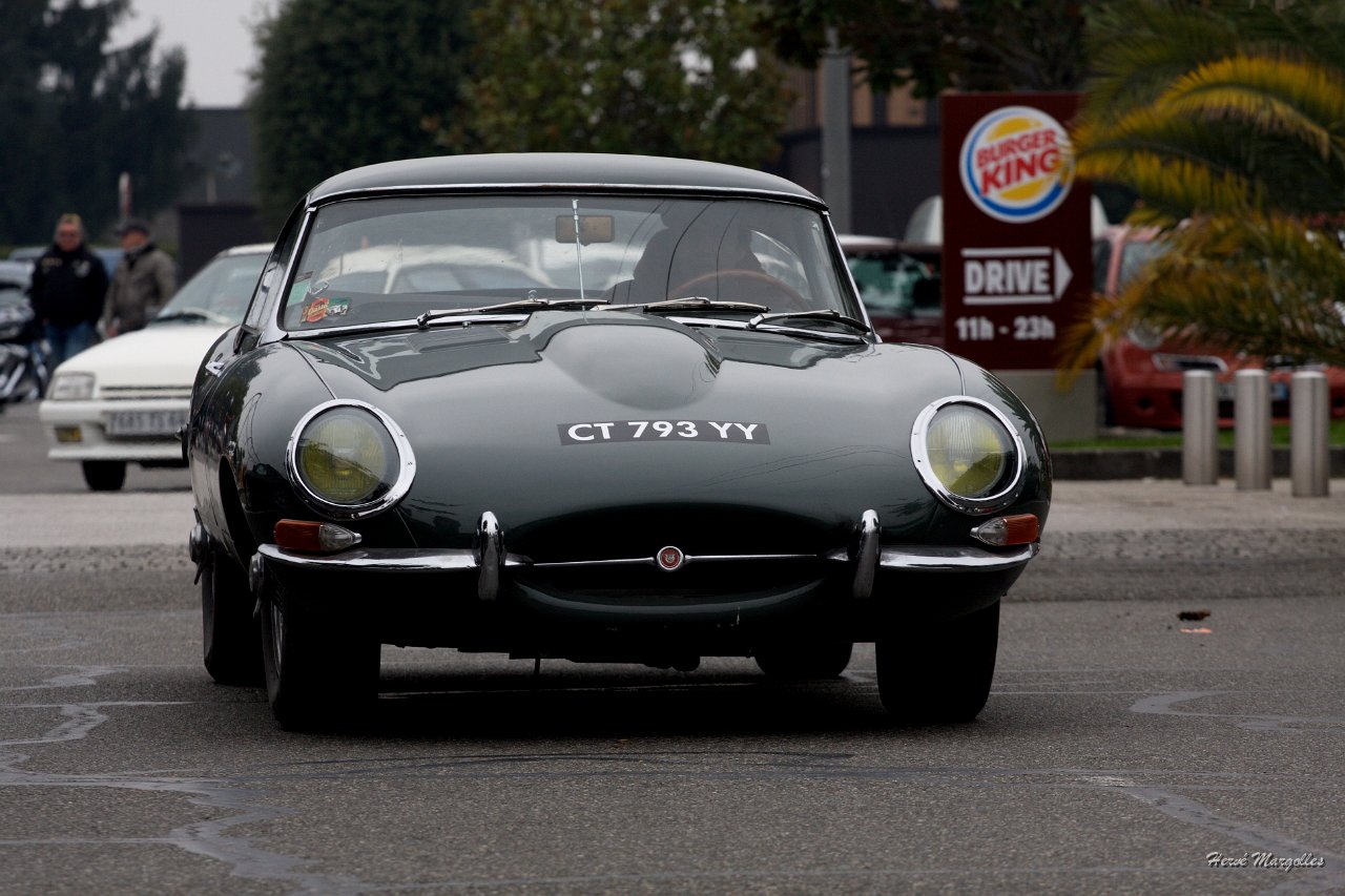 Jaguar-E_Type-03.jpg