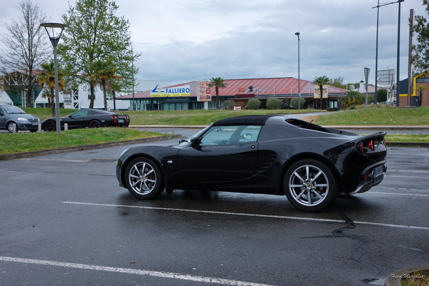 Lotus-01.jpg