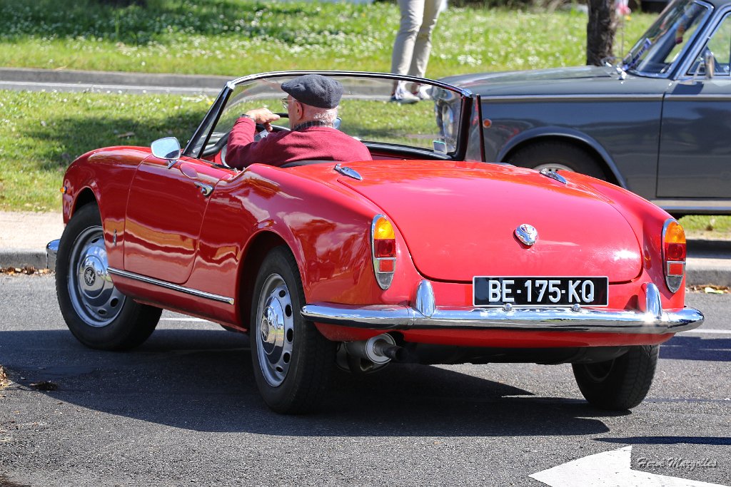 Alfa-Romeo-01.jpg
