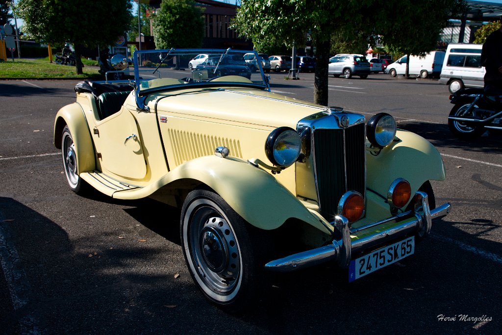 MG-TF-01.jpg