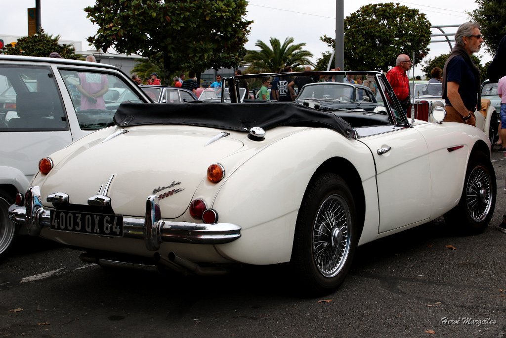 AUSTIN-HEALEY-01.JPG