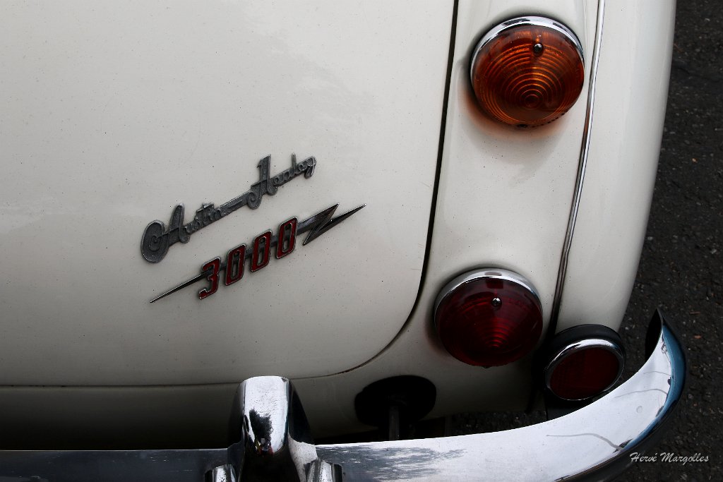 AUSTIN-HEALEY-02.JPG