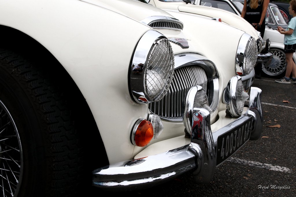 AUSTIN-HEALEY-03.JPG