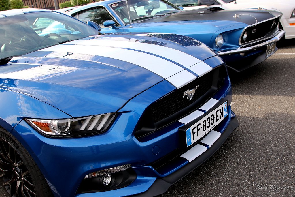 FORD-MUSTANG-02.JPG