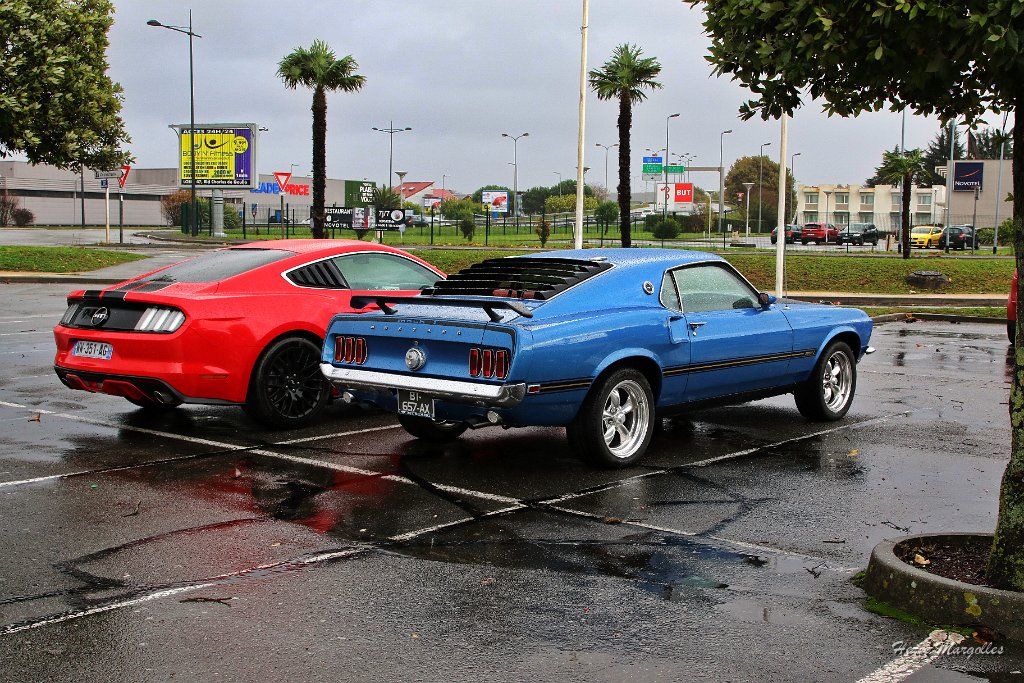 Ford-Mustang-01.JPG