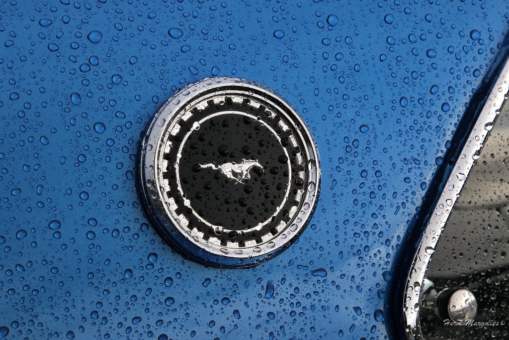 Ford-Mustang-02.JPG